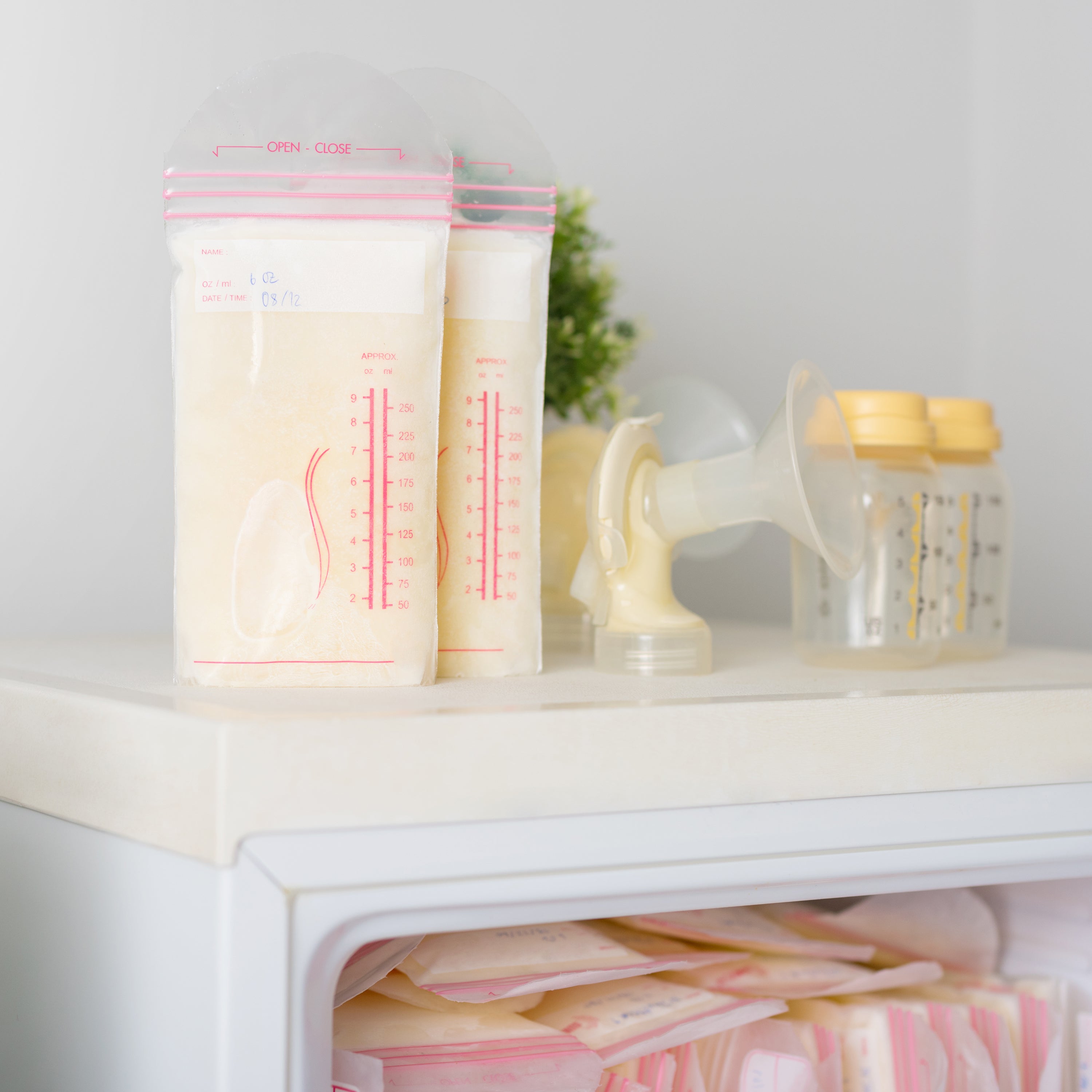Your Go-To Breast Milk Storage Guidelines | UpSpring