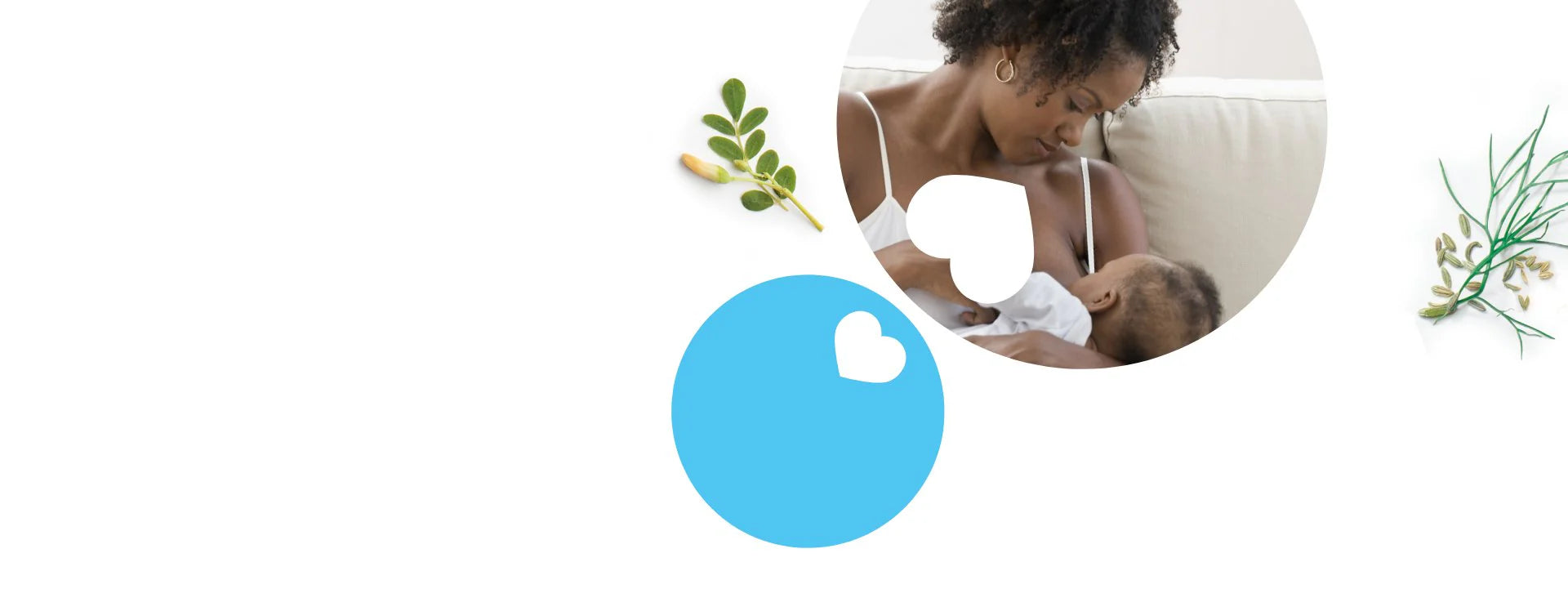 Fenugreek Breastfeeding Supplements